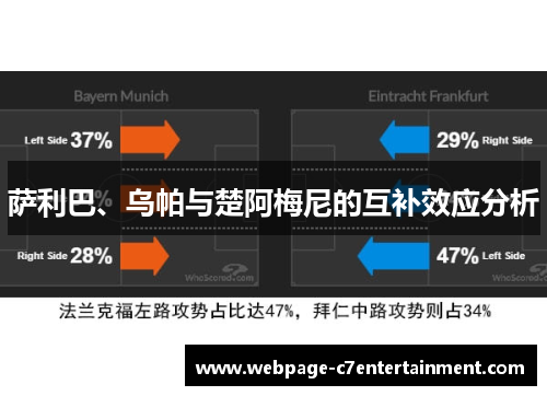 萨利巴、乌帕与楚阿梅尼的互补效应分析 萨利巴、乌帕与楚阿梅尼的互补效应分析