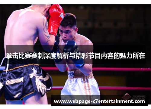拳击比赛赛制深度解析与精彩节目内容的魅力所在 拳击比赛赛制深度解析与精彩节目内容的魅力所在