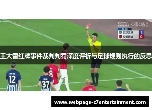 王大雷红牌事件裁判判罚深度评析与足球规则执行的反思