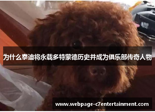 为什么泰迪将永载多特蒙德历史并成为俱乐部传奇人物