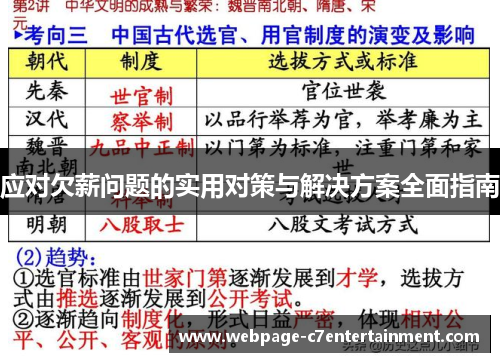 应对欠薪问题的实用对策与解决方案全面指南