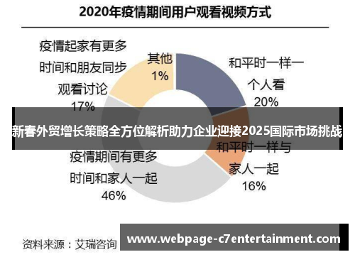 新春外贸增长策略全方位解析助力企业迎接2025国际市场挑战