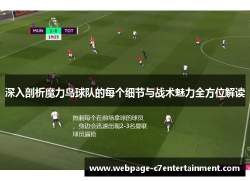 深入剖析魔力鸟球队的每个细节与战术魅力全方位解读 深入剖析魔力鸟球队的每个细节与战术魅力全方位解读