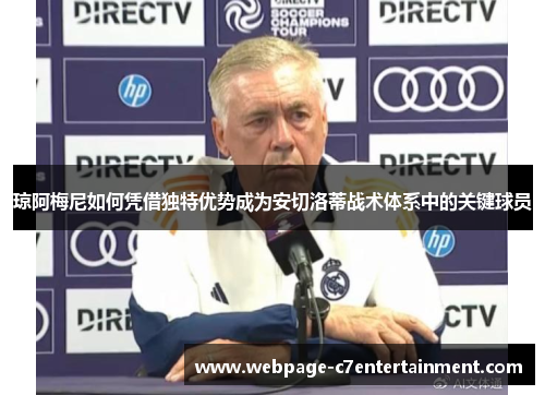 琼阿梅尼如何凭借独特优势成为安切洛蒂战术体系中的关键球员