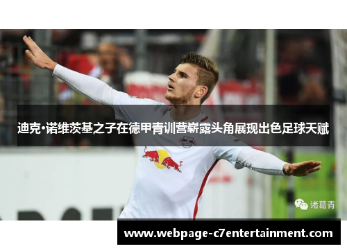 迪克·诺维茨基之子在德甲青训营崭露头角展现出色足球天赋