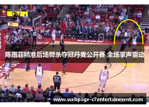 陈雨菲精准后场劈杀夺冠丹麦公开赛 全场掌声雷动 陈雨菲精准后场劈杀夺冠丹麦公开赛 全场掌声雷动