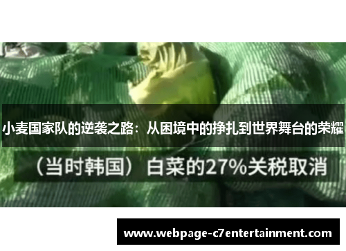 小麦国家队的逆袭之路：从困境中的挣扎到世界舞台的荣耀