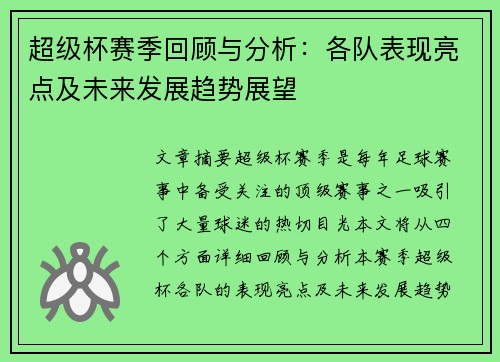超级杯赛季回顾与分析：各队表现亮点及未来发展趋势展望