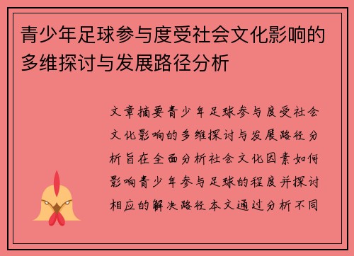 青少年足球参与度受社会文化影响的多维探讨与发展路径分析