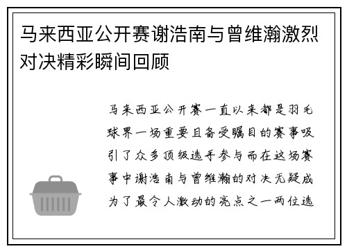 马来西亚公开赛谢浩南与曾维瀚激烈对决精彩瞬间回顾